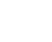 DECKS-wht.png